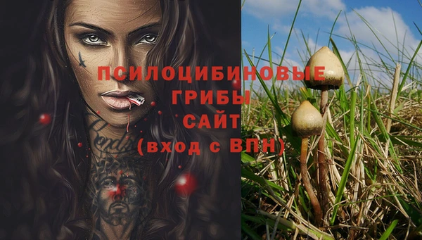 PSILOCYBIN Алексеевка