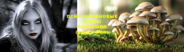 PSILOCYBIN Алексеевка