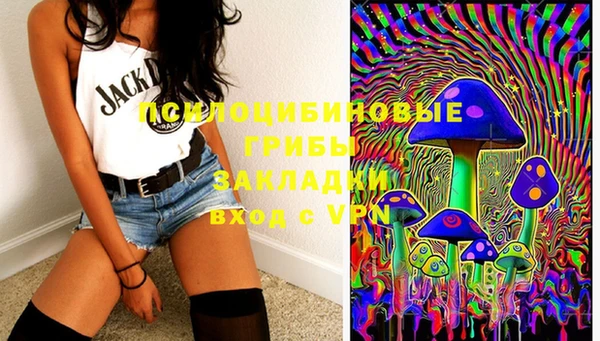 гидропоника Алзамай