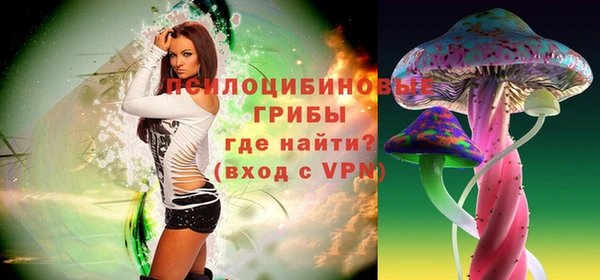 PSILOCYBIN Алексеевка
